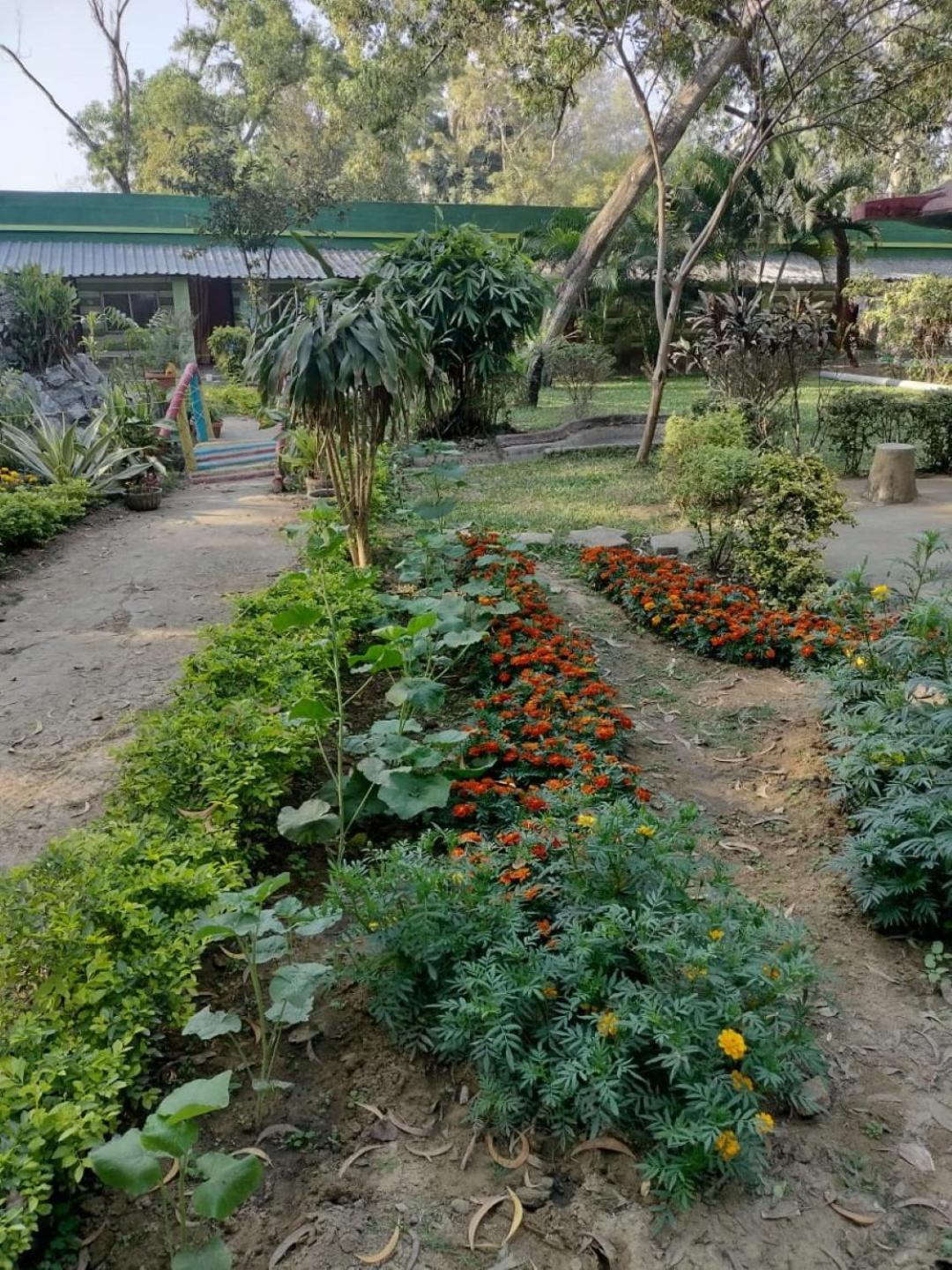 Lucky Beach Resorts , Balasore 昌迪普尔 外观 照片