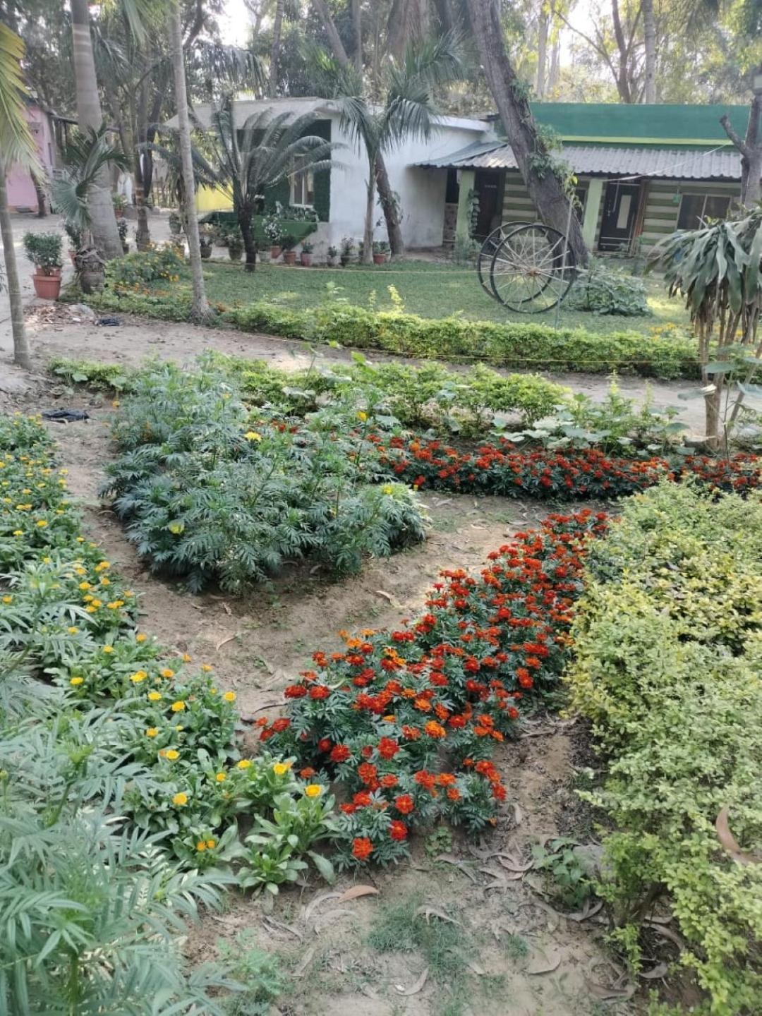 Lucky Beach Resorts , Balasore 昌迪普尔 外观 照片